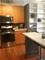 333 W Hubbard Unit 409, Chicago, IL 60654
