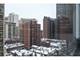 33 E Cedar Unit 12G, Chicago, IL 60611