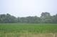 500 S Randall, Elgin, IL 60123