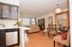 253 E Delaware Unit 17C, Chicago, IL 60611