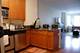 520 N Halsted Unit 207, Chicago, IL 60642