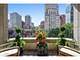 65 E Goethe Unit 5W, Chicago, IL 60610