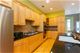 1720 W Altgeld, Chicago, IL 60614