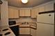 1111 N Dearborn Unit 2707, Chicago, IL 60610