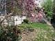 4212 N Damen, Chicago, IL 60618