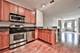 520 N Halsted Unit 207, Chicago, IL 60642