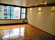 21 E Chestnut Unit 22H, Chicago, IL 60611