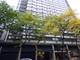 33 E Cedar Unit 8A, Chicago, IL 60611