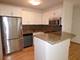 33 E Cedar Unit 8A, Chicago, IL 60611