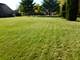 Lot #1 Sycamore, Medinah, IL 60157