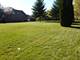 Lot #1 Sycamore, Medinah, IL 60157