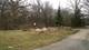 Lot 4 Griswold Springs, Plano, IL 60545