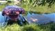 267 Lake Thunderbird, Putnam, IL 61560