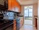 155 N Harbor Unit 209, Chicago, IL 60601