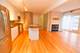 1133 W Cornelia Unit D, Chicago, IL 60657