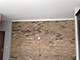 1325 W Addison Unit 1A, Chicago, IL 60613
