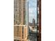 901 S Plymouth Unit 1204, Chicago, IL 60605