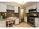 227 E Walton Unit 10W, Chicago, IL 60611