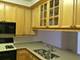 1435 S Prairie Unit K, Chicago, IL 60605