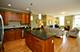 1319 Maple Unit 3SE, Evanston, IL 60201