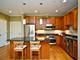 1319 Maple Unit 3SE, Evanston, IL 60201