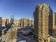 2 E Oak Unit 1602, Chicago, IL 60611