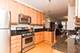 1405 W Rascher Unit 1, Chicago, IL 60640