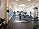 558 W Webster Unit 305, Chicago, IL 60614