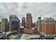 20 E Cedar Unit 17D, Chicago, IL 60611