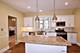 38W120 Highland, Elgin, IL 60124