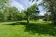 38W120 Highland, Elgin, IL 60124