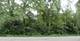 LOT 2 Chestnut, Crystal Lake, IL 60014