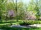 668 Long Cove, Riverwoods, IL 60015