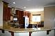 2323 S Wabash Unit 9, Chicago, IL 60616