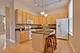 261 Whistler, Highland Park, IL 60035