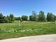 26037 Golfview, Frankfort, IL 60423