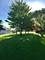 21337 S 93rd, Frankfort, IL 60423