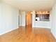 100 E 14th Unit 2802, Chicago, IL 60605