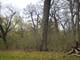 Lot 53 Nottingham, Elburn, IL 60119