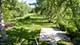 10260 W 144th, Orland Park, IL 60462