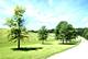 Lot 1598 Lake Wildwood, Varna, IL 61375