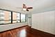 222 E Pearson Unit 1101, Chicago, IL 60611