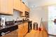 309 N Union Unit B, Chicago, IL 60661