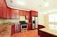 471 E Bowen Unit 2, Chicago, IL 60653