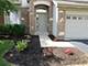 26311 Mapleview, Plainfield, IL 60585