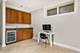 1117 W Patterson Unit 1, Chicago, IL 60613