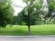 Lot 17 Parkview, Lombard, IL 60148