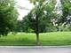 Lot 19 Parkview, Lombard, IL 60148