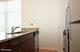 8 E 9th Unit 301, Chicago, IL 60605