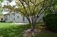 319 Torrington, Bloomingdale, IL 60108